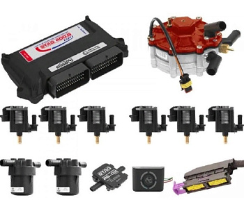 Комплект мини FSI AC 250E STAG-400 ( тип ACW03) 6цил.